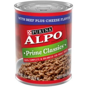DOG FOOD